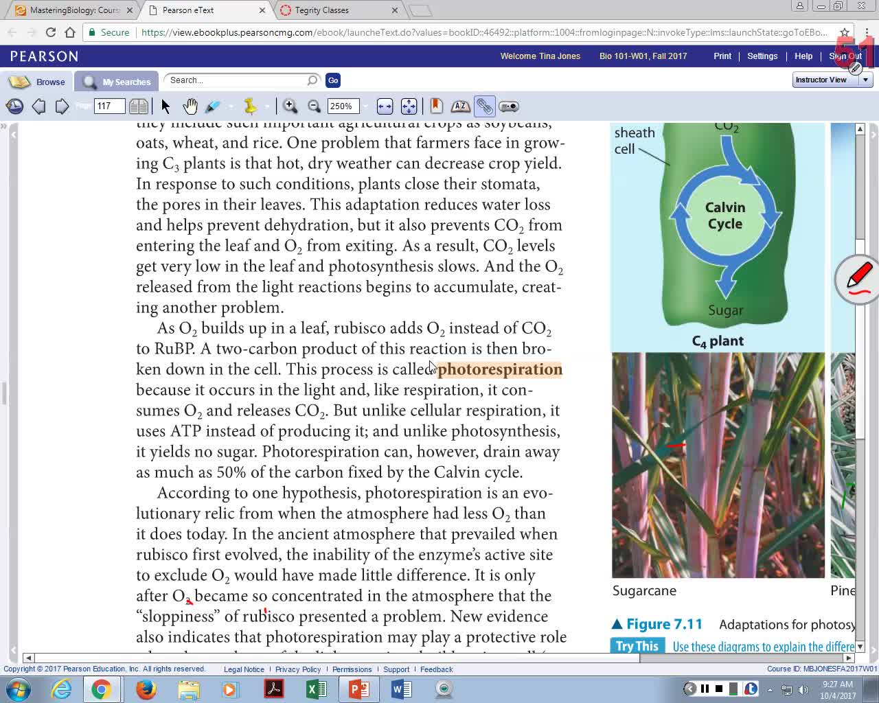 Photosynthesis