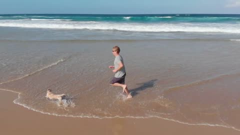 Slow motion of male jogger on beach running and playing with dog