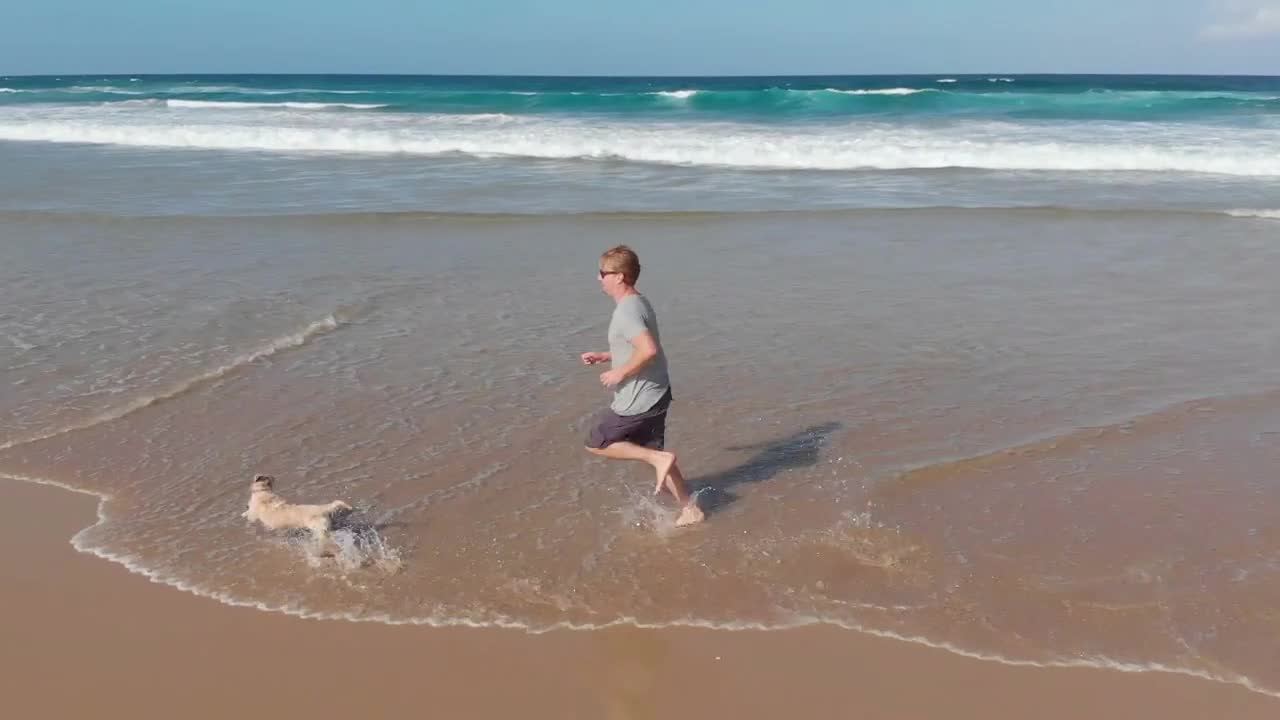 Slow motion of male jogger on beach running and playing with dog