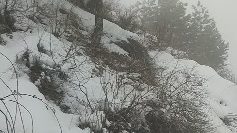 Snow Fall In Kashmir.. ❤️❤️❤️