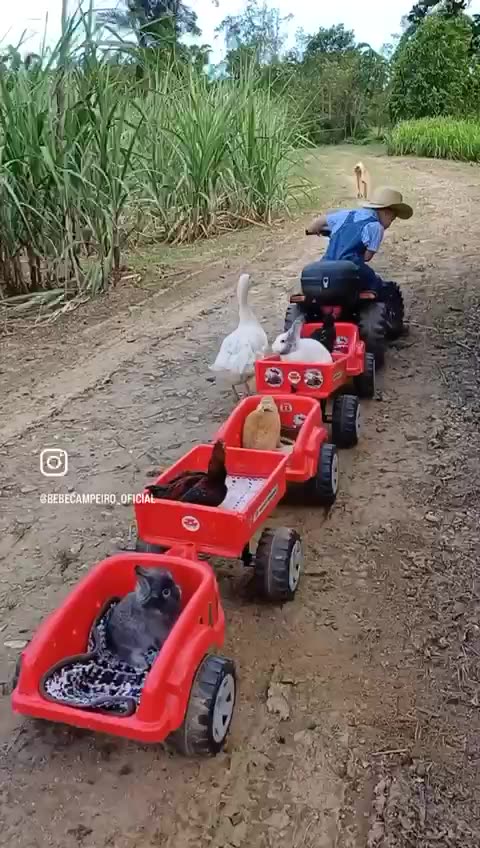 Bauerndemos weiten sich aus .Rechte Landjungvolk auf dem Weg nach Berlin, die Grünen zu stürzen.