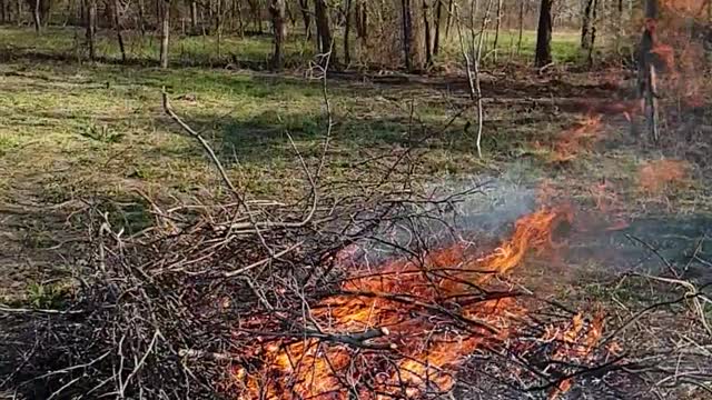 Burning branches in my garden (Slow motion)