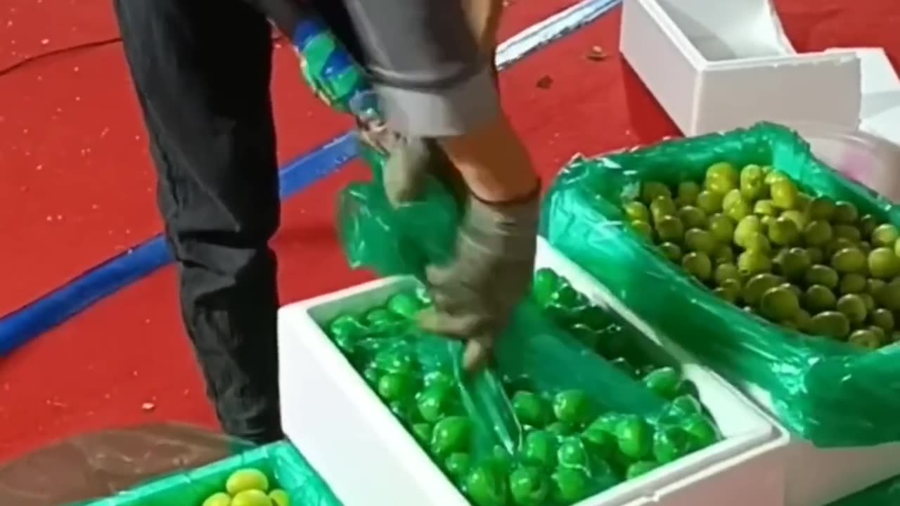 Fruit Packing Techniques #satisfying #short