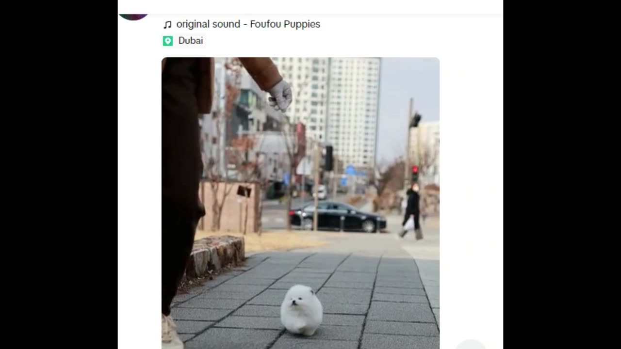 23Apr2024 Random Internet