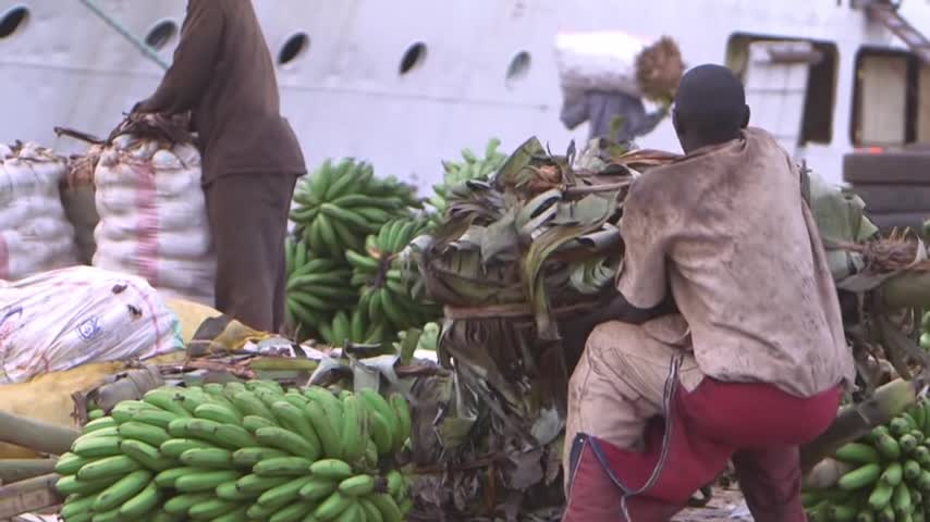 Innovation in banana cropping systems