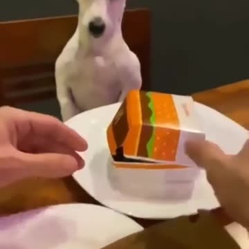 Laughter does good as medicine...