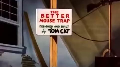 Tom and Jerry _ Tom Mathematics