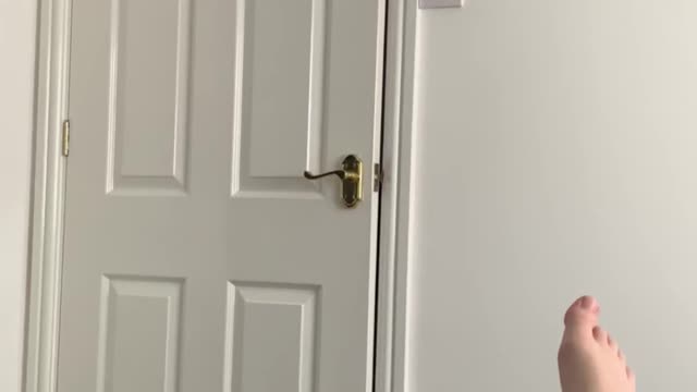 Clever Cat Can Open Door