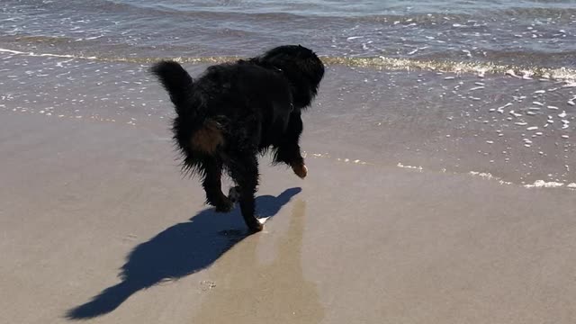 Summit Loves the Beach!