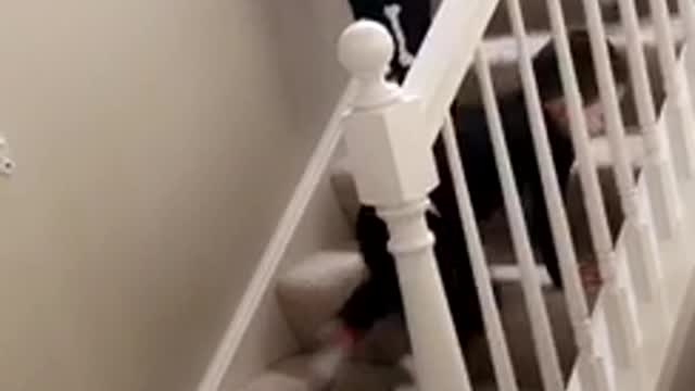 Kids dressed as skeletons down stairs