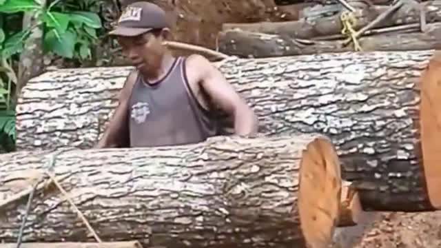 Wood worker