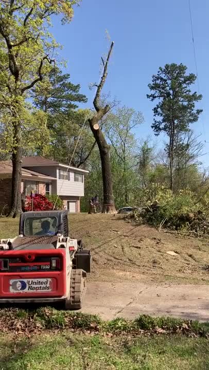 Tree Cutting Fail in Alabama