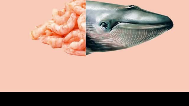 Amazing random facts