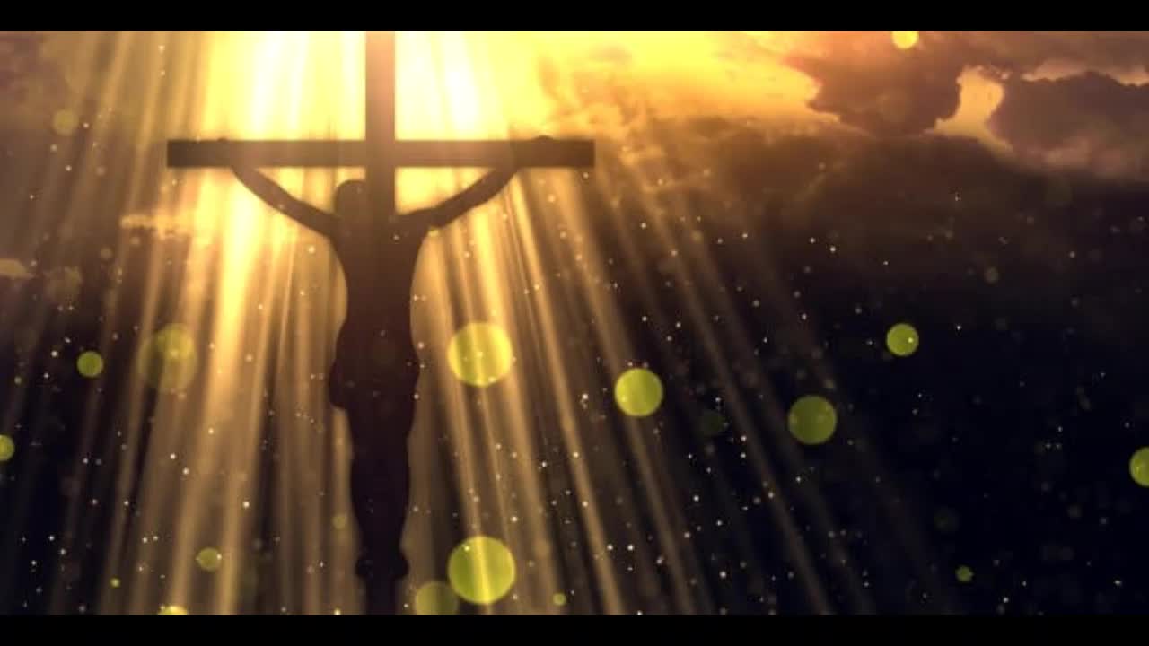 Believing and Seeing Jesus