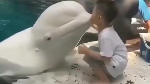 This is a beautiful and charming water-dwelling species