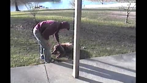 Porch Swing Implodes On Family During Picture Time