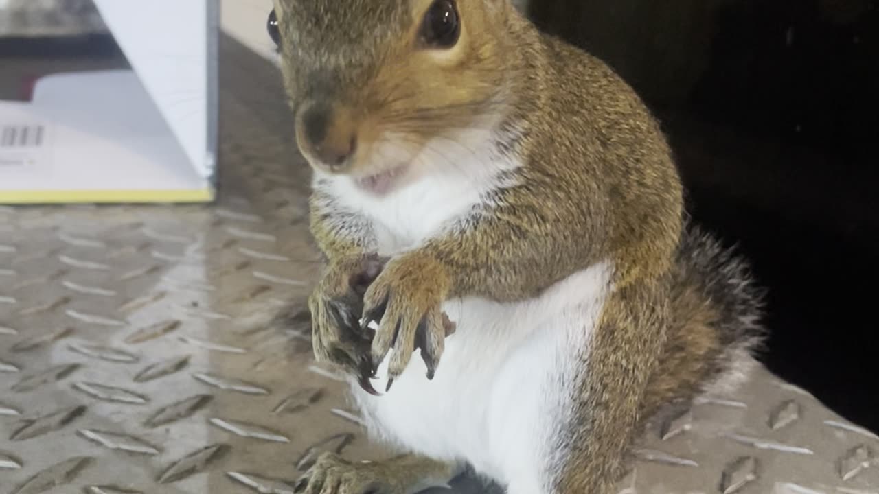 eeee