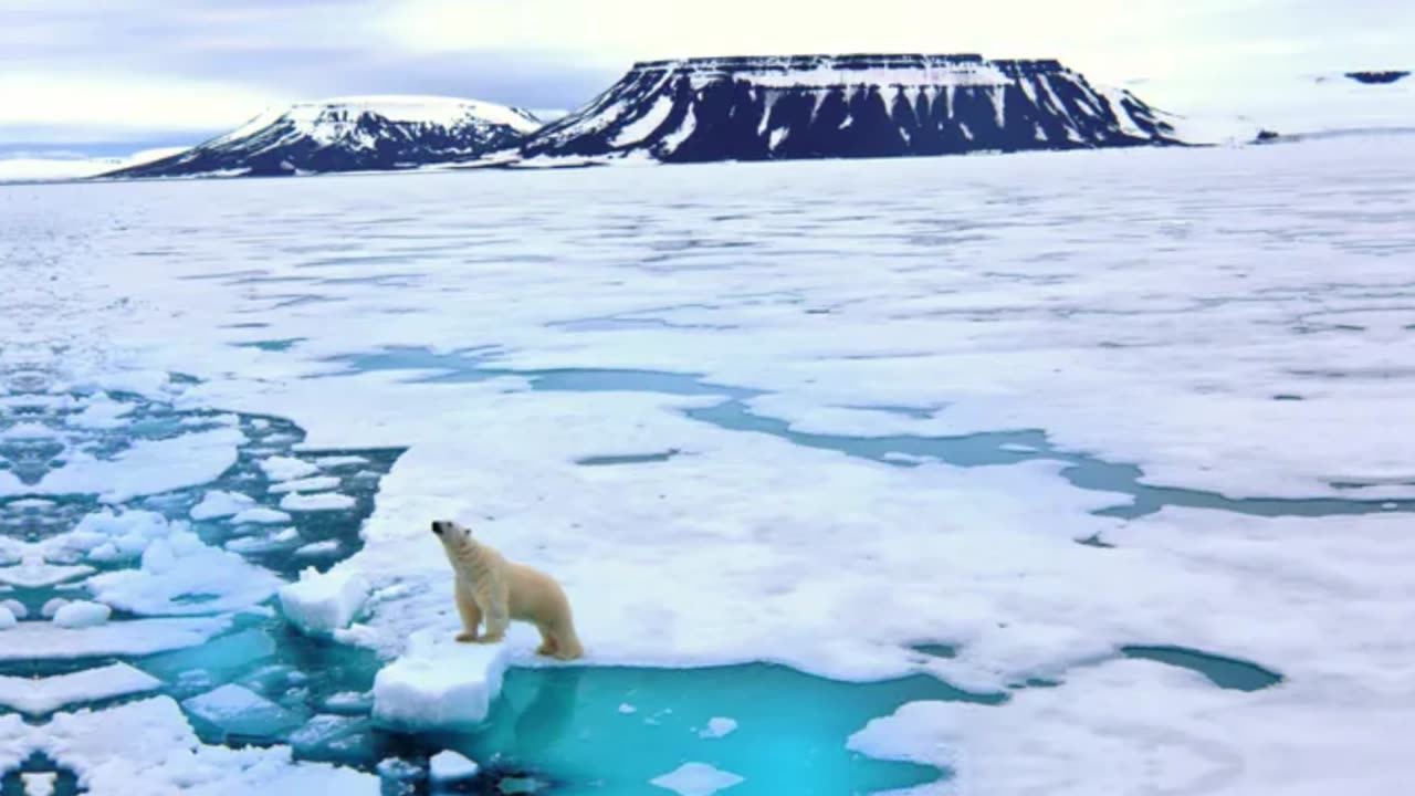 Arctic Ocean Could See First Ice-Free Day in a Matter of Years, Study Warns