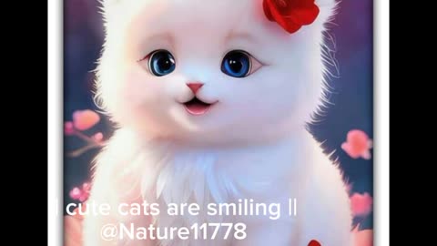 Cute cats