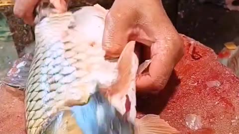 Big Crap Fish Cutting Skills