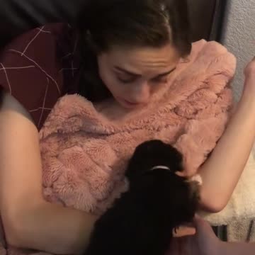 funny|prank|jokes|funny jokes|dad jokes|funny memes|funny video|fun|laughing|funny animal|knock