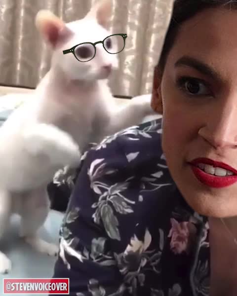 Welcome To Florida, @catturd2 greets AOC...