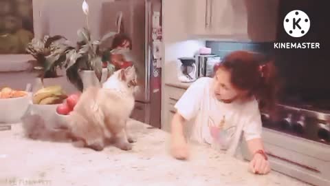 Funniest _ Cats _ video 🤣😄