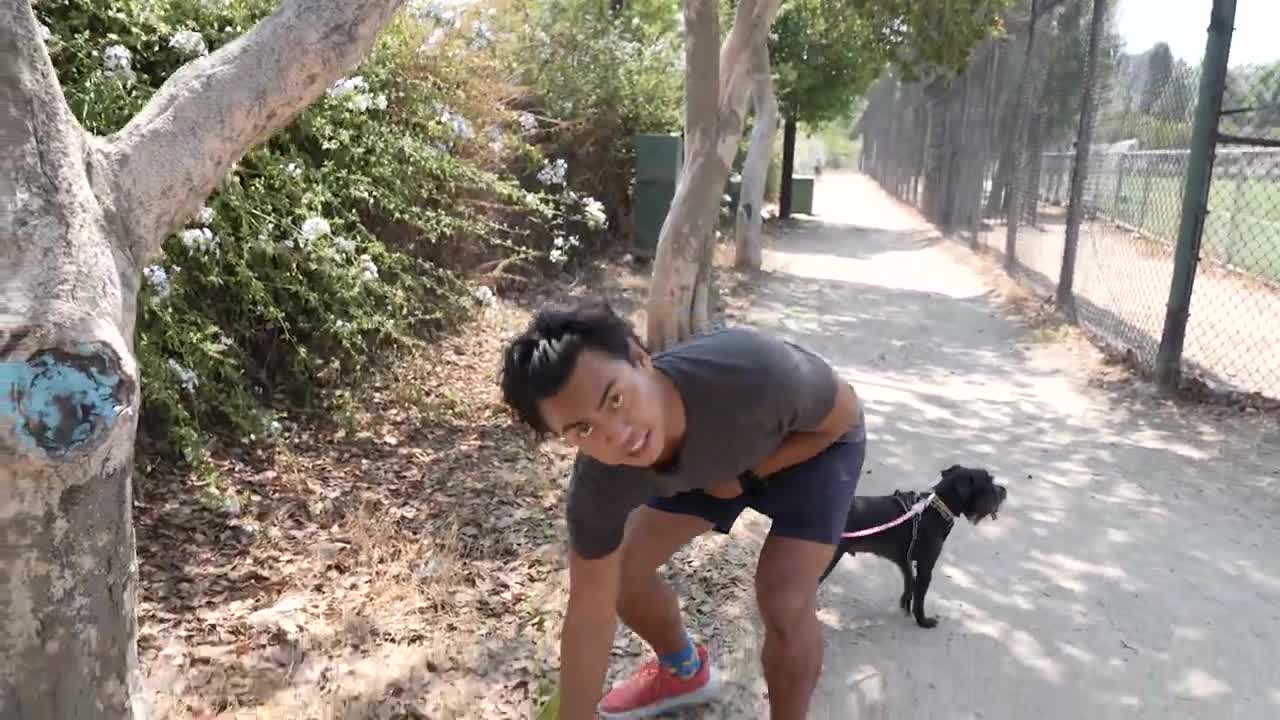 SECRET SCENES - My Dog WALKS ME For 24 Hours