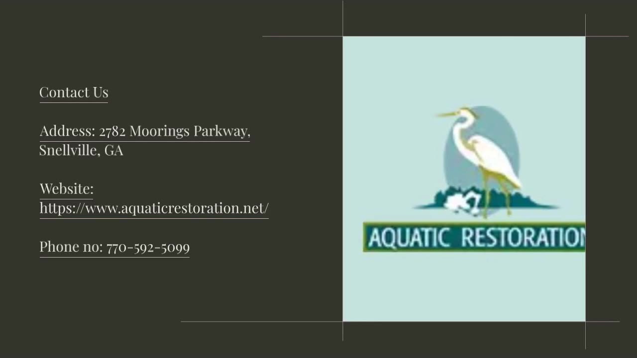 Dive Into Excellence: Pond Maintenance Solutions in Atlanta by Aquatic Restoration