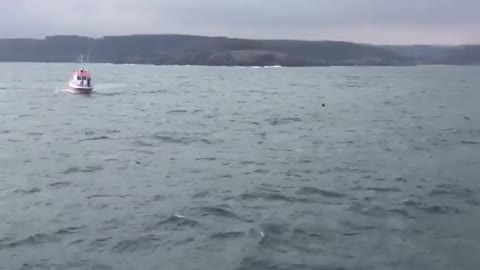 Turkish sources publish footage of a naval mine found in the Bosphorus