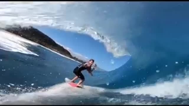 surf