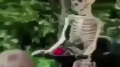 I wouldn’t go there if I were you (meme)