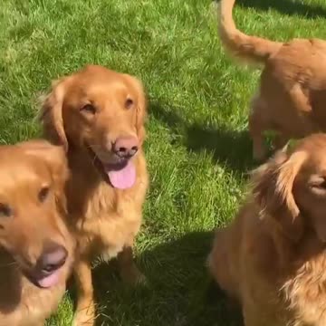 we got to have some BUN with our frens today ☀️