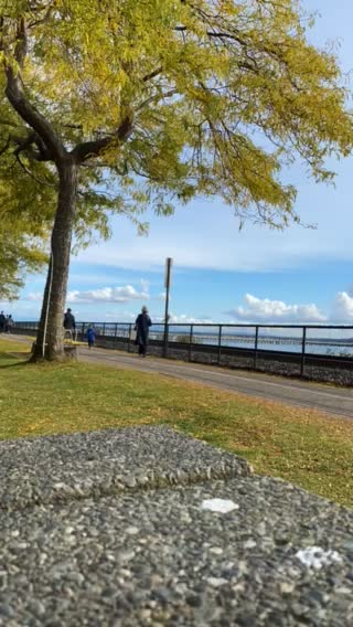 White Rock - Time Lapse