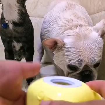 Neither of them wants to take a both