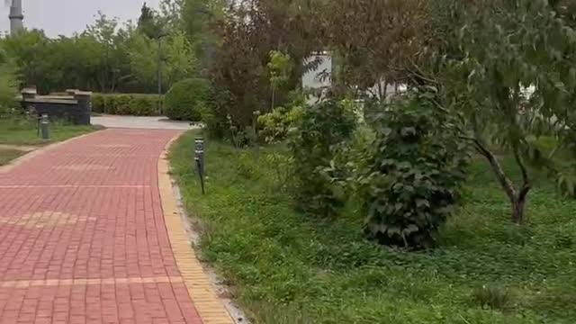 It's such a quiet path