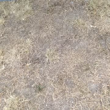 L'occhio, o bulbo oculare🤔🤔🤔🧐🧐🧐