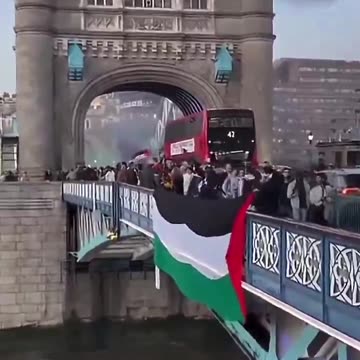 Pro-Hamas fanatics block Tower Bridge on Remembrance Sunday.