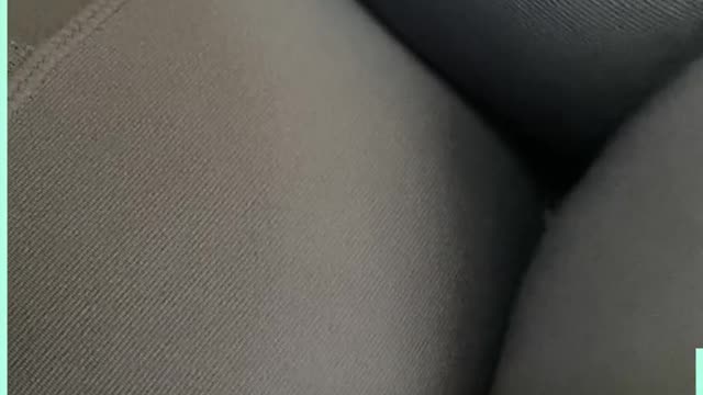 You tried: Interrupting pets
