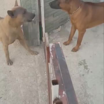 When you have mouth only