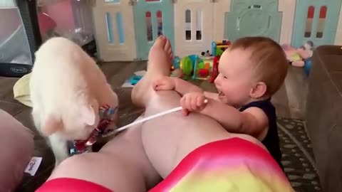 cutest baby and cat video