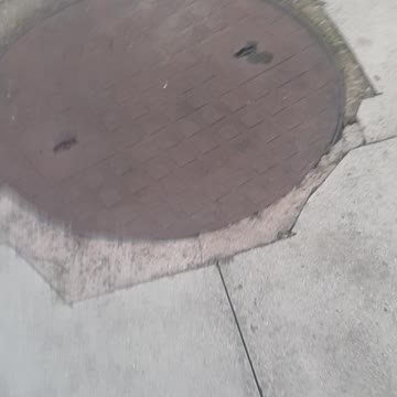 My Kitten Staying by my Legs