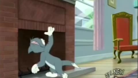 Tom as Rockstar | Funny Cartoon Videos | Tom and Jerry