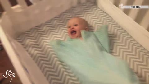 Babies laughing at pets