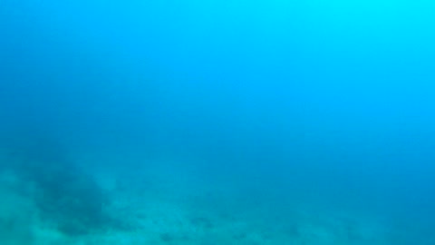 Cancun Mexico Carribean Scuba Diving Part 7