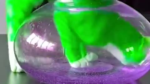 Funniest & Smart Cats Videos on the Planet Best Love Funny Animal Videos Compilation