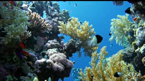 Such a beautiful living environment is due to the dedication of nature!
