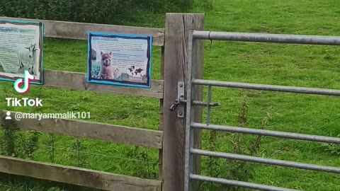 Ponderosa zoo dewsbury