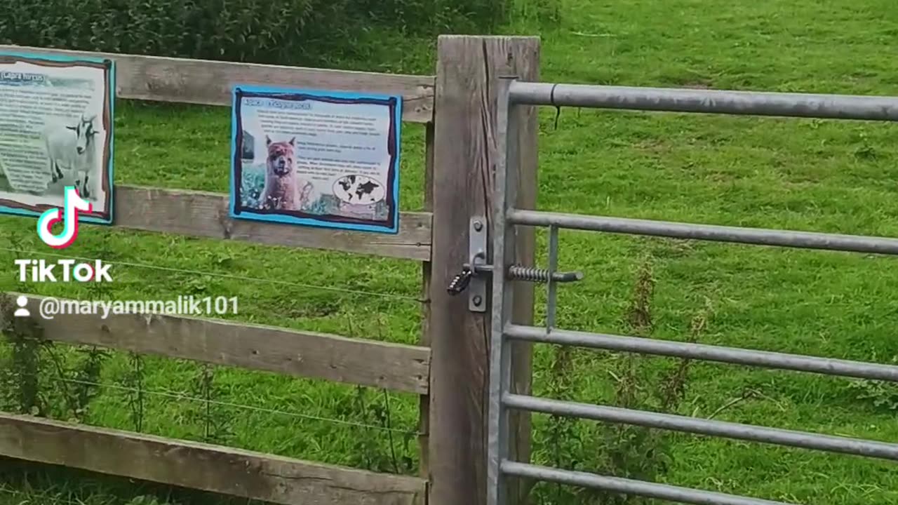 Ponderosa zoo dewsbury