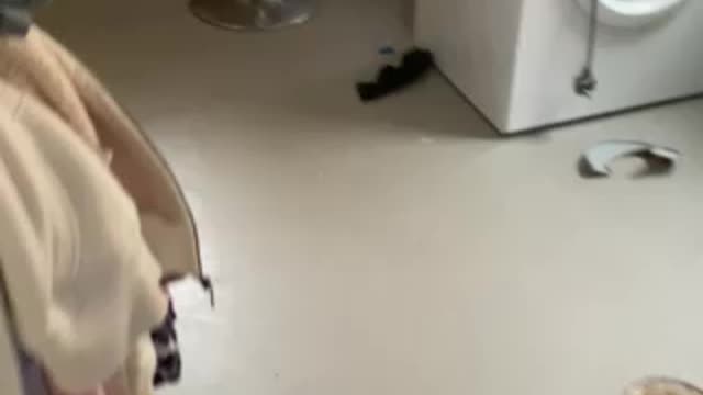 My Life with Cats ! Puuuurfect